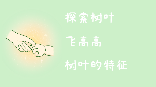 最漂亮的树叶亲子活动封面
