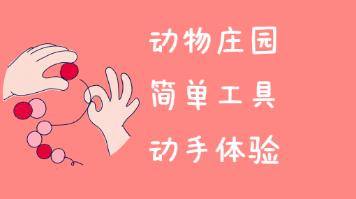 模具橡皮泥亲子活动封面