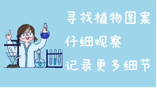 植物侦探的笔记亲子活动示意图