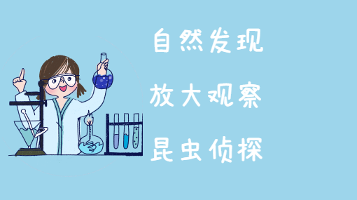 观察小虫子亲子活动封面