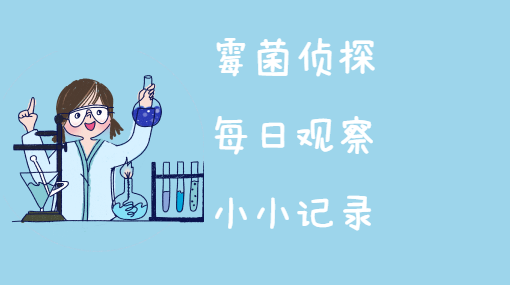 神奇的霉菌亲子活动封面